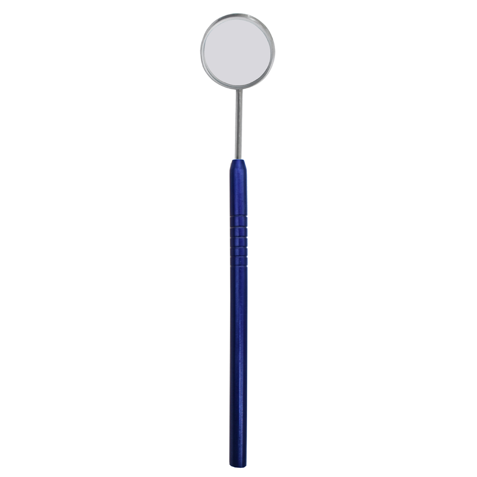 MIRROR WITH HANDLE