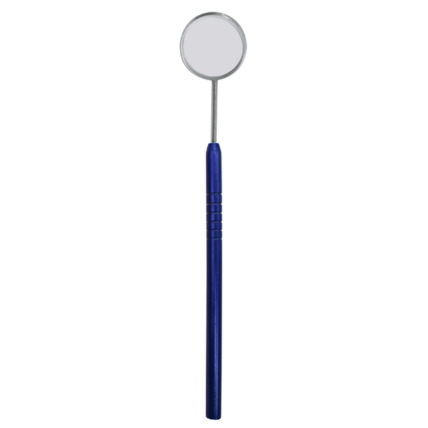 MIRROR WITH HANDLE
