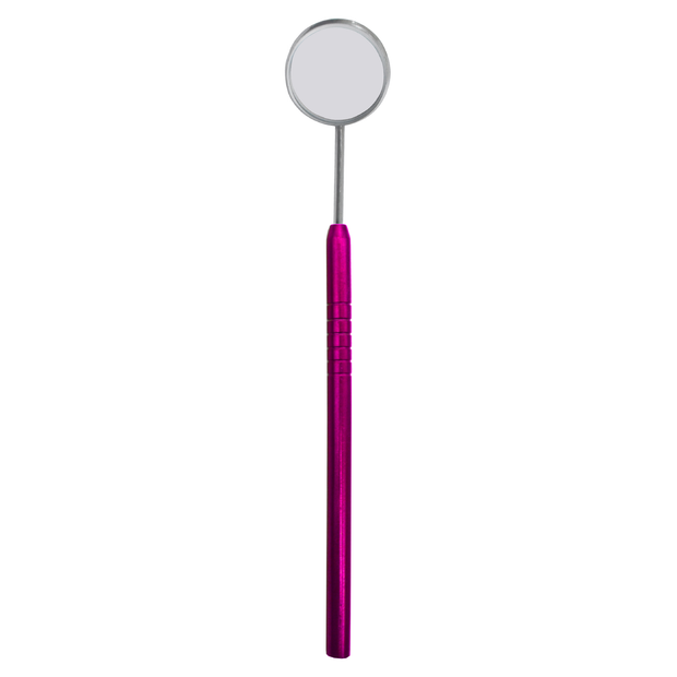 MIRROR WITH HANDLE