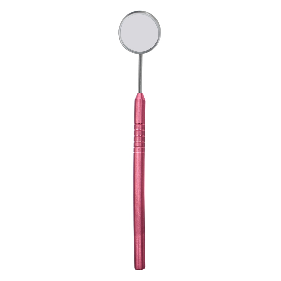 MIRROR WITH HANDLE