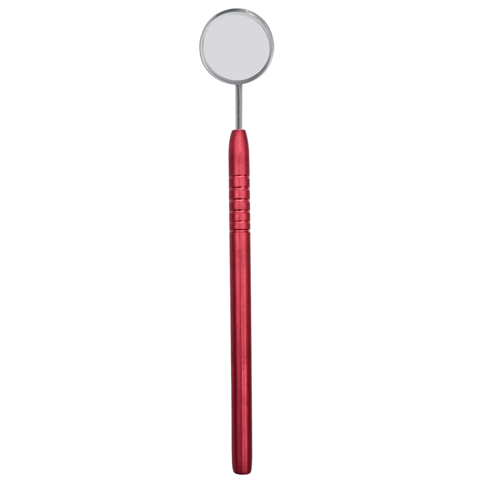 MIRROR WITH HANDLE