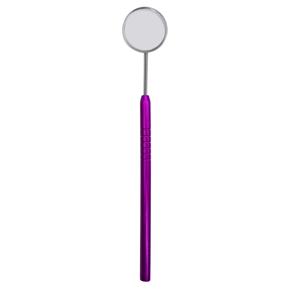 MIRROR WITH HANDLE