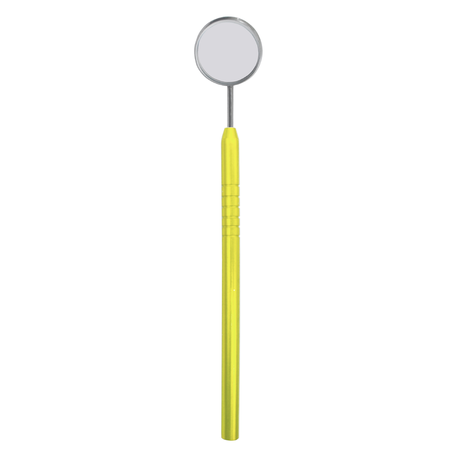 MIRROR WITH HANDLE
