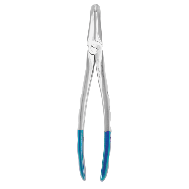 Lower Root Forceps – Serrated Beaks for Root Fragments – 6binventgermany Premium Stainless Steel