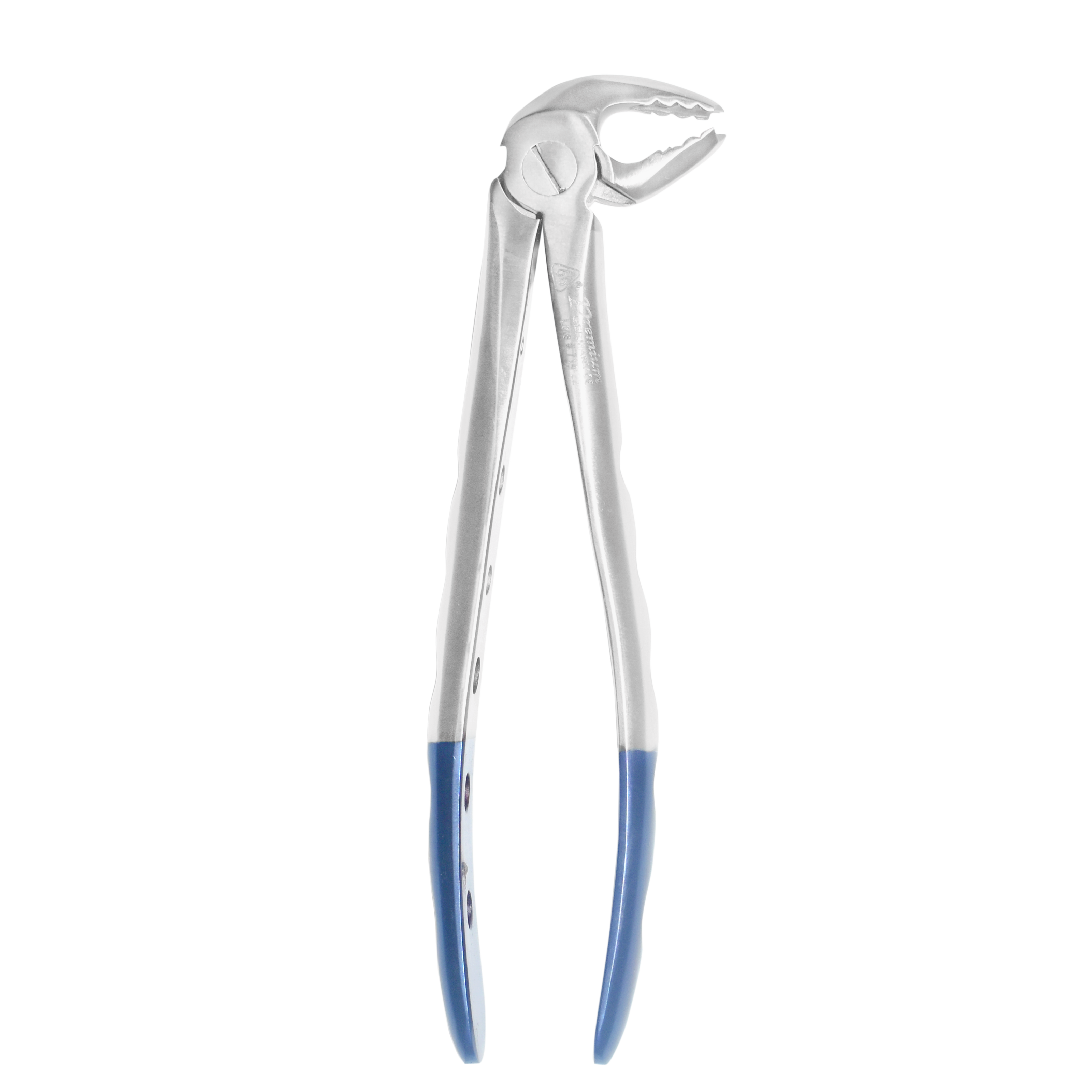 Diamond Forceps #222 – Premium Lower Molar Extraction – 6binventgermany Stainless Steel