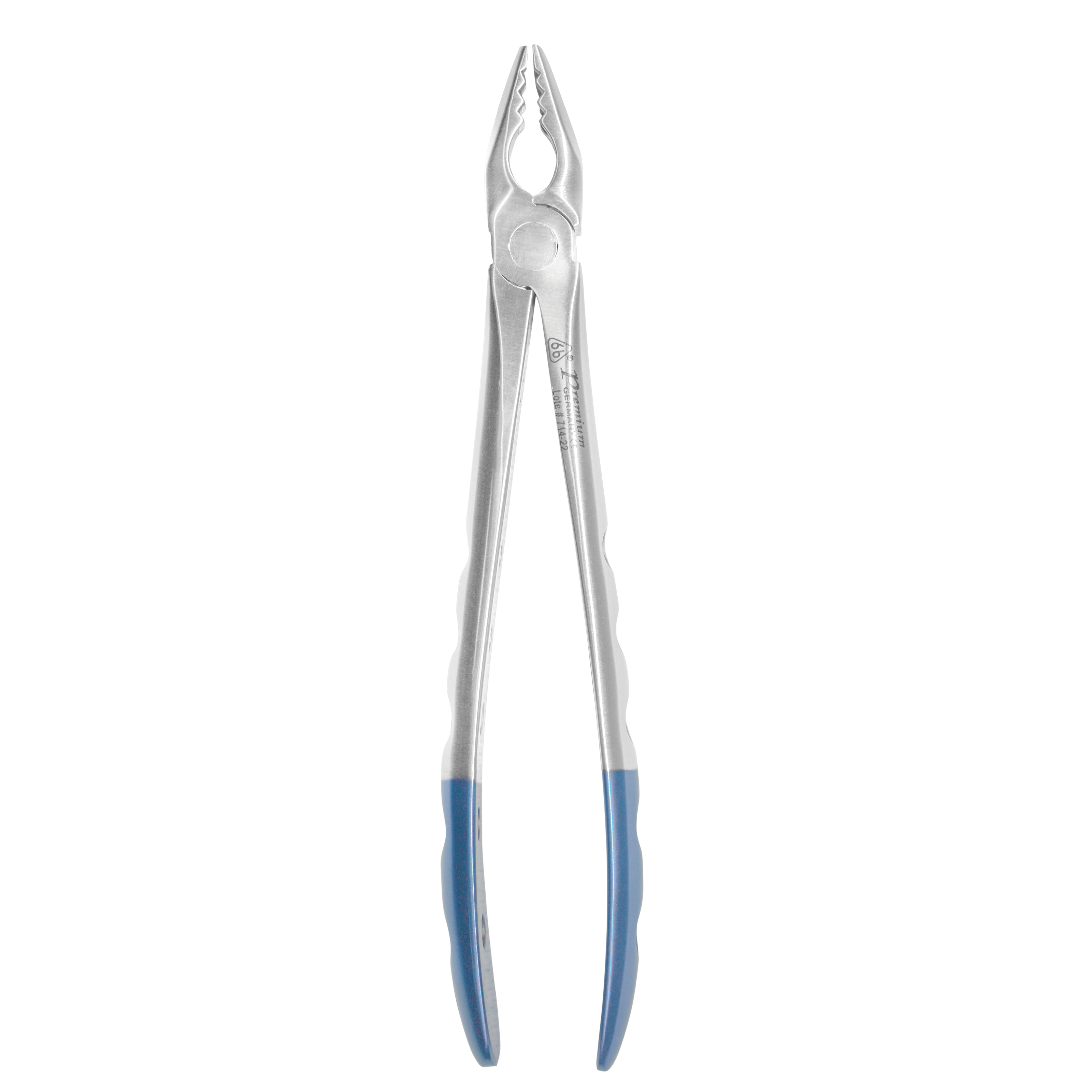 Diamond Forceps #234 – Premium Upper Molar Extraction – 6binventgermany Stainless Steel