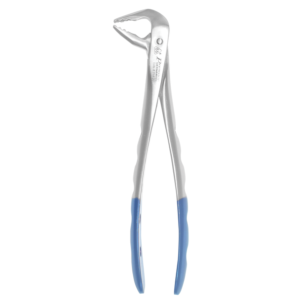 Diamond Forceps #236S – Premium Upper Molar Extraction (Serrated Slim) – 6binventgermany Stainless Steel