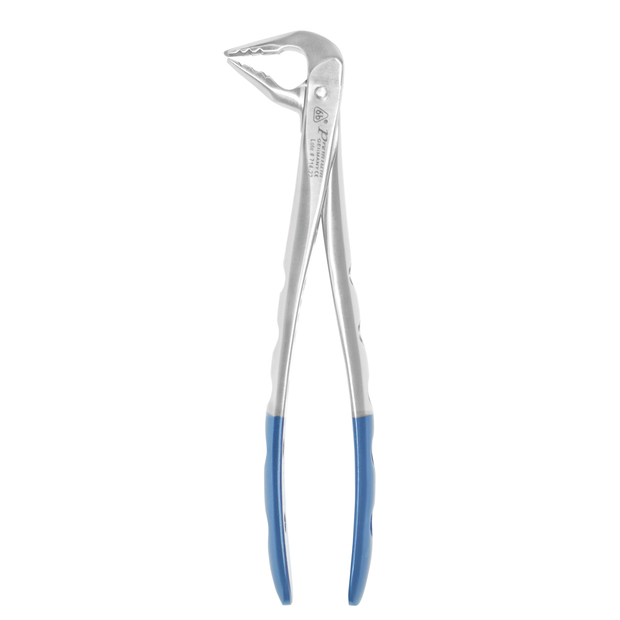 Diamond Forceps #236 – Premium Upper Molar Extraction – 6binventgermany Stainless Steel