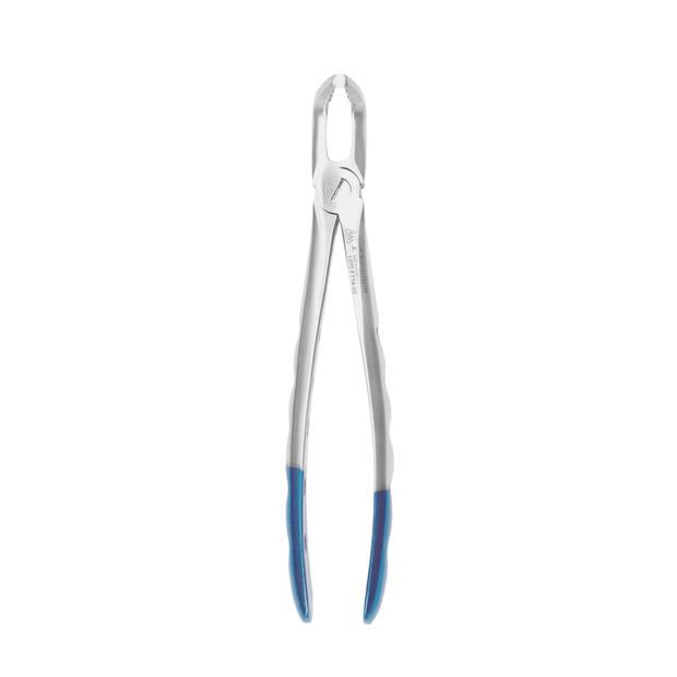 Diamond Forceps #279 – Premium Upper Molar Extraction (Right Side) – 6binventgermany Stainless Steel