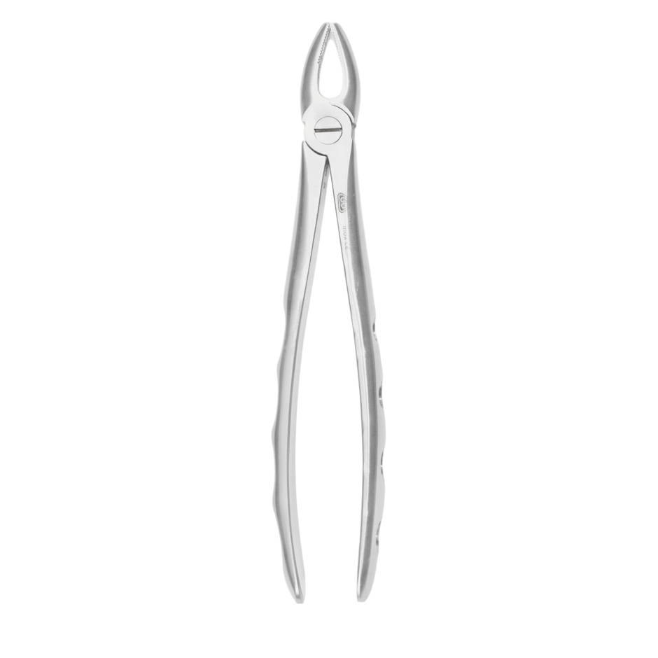 Dental Extraction Forceps #1 – Upper Incisors & Canines – 6binventgermany Premium Stainless Steel