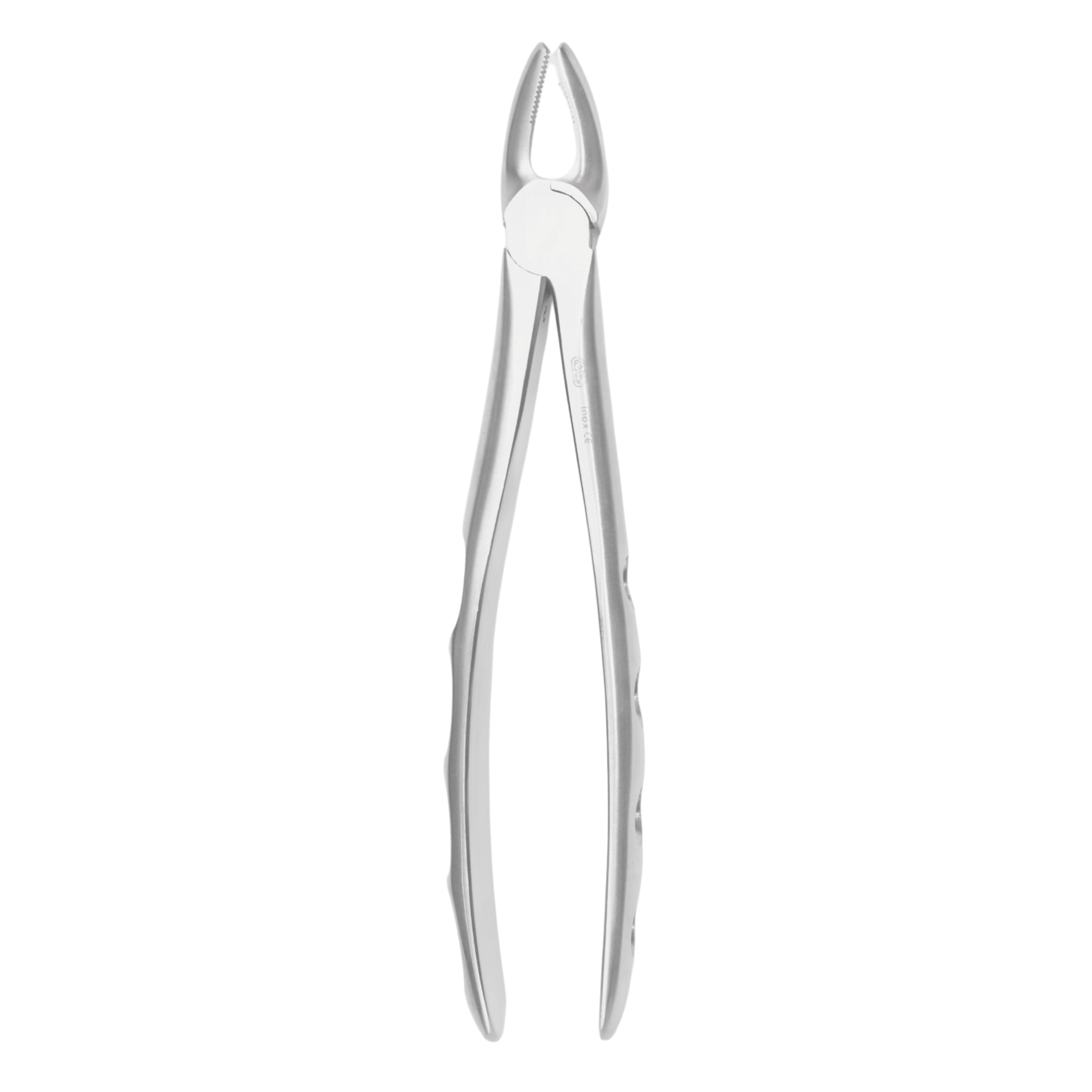Dental Extraction Forceps #7 – Upper Premolars – 6binventgermany Premium Stainless Steel