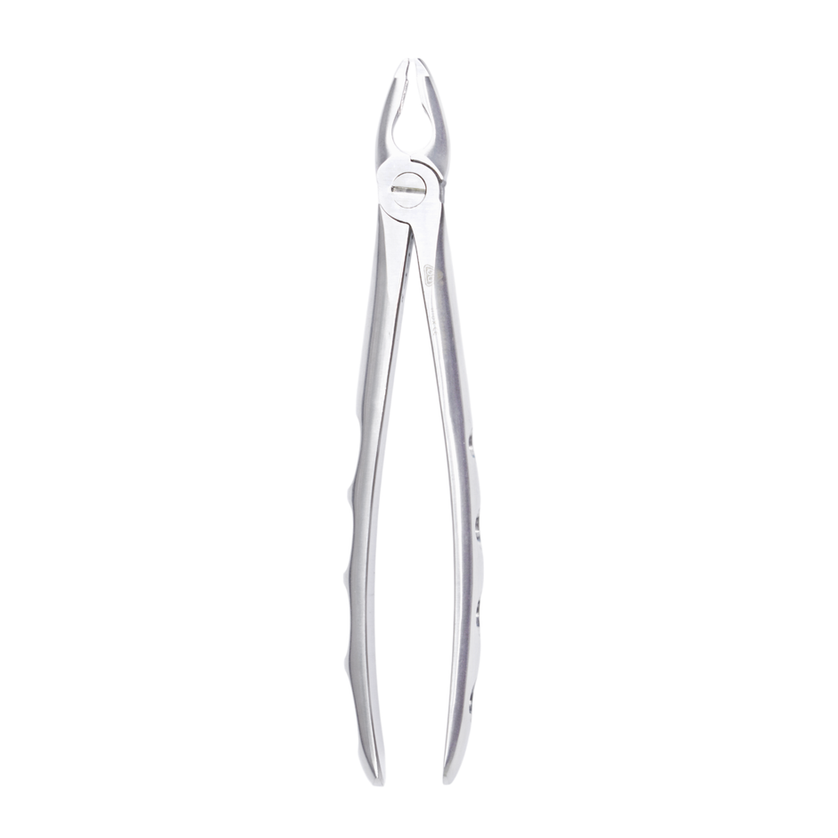 Dental Extraction Forceps #2A – Upper Incisors, Canines & Premolars – 6binventgermany Premium Stainless Steel
