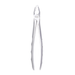 Dental Extraction Forceps #2A – Upper Incisors, Canines & Premolars – 6binventgermany Premium Stainless Steel