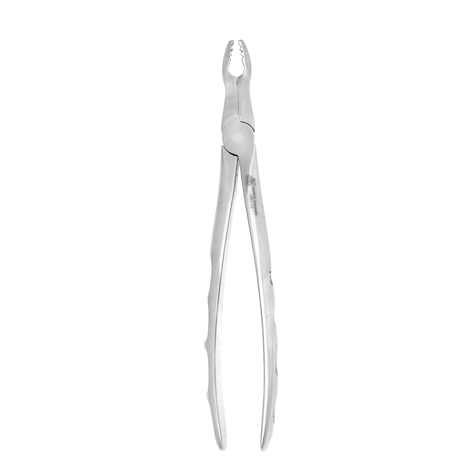 Dental Extraction Forceps #67 A – Upper Roots & Fragments (Angled) – 6binventgermany Premium Stainless Steel