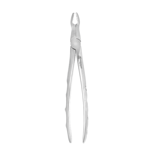 Dental Extraction Forceps #67 A – Upper Roots & Fragments (Angled) – 6binventgermany Premium Stainless Steel