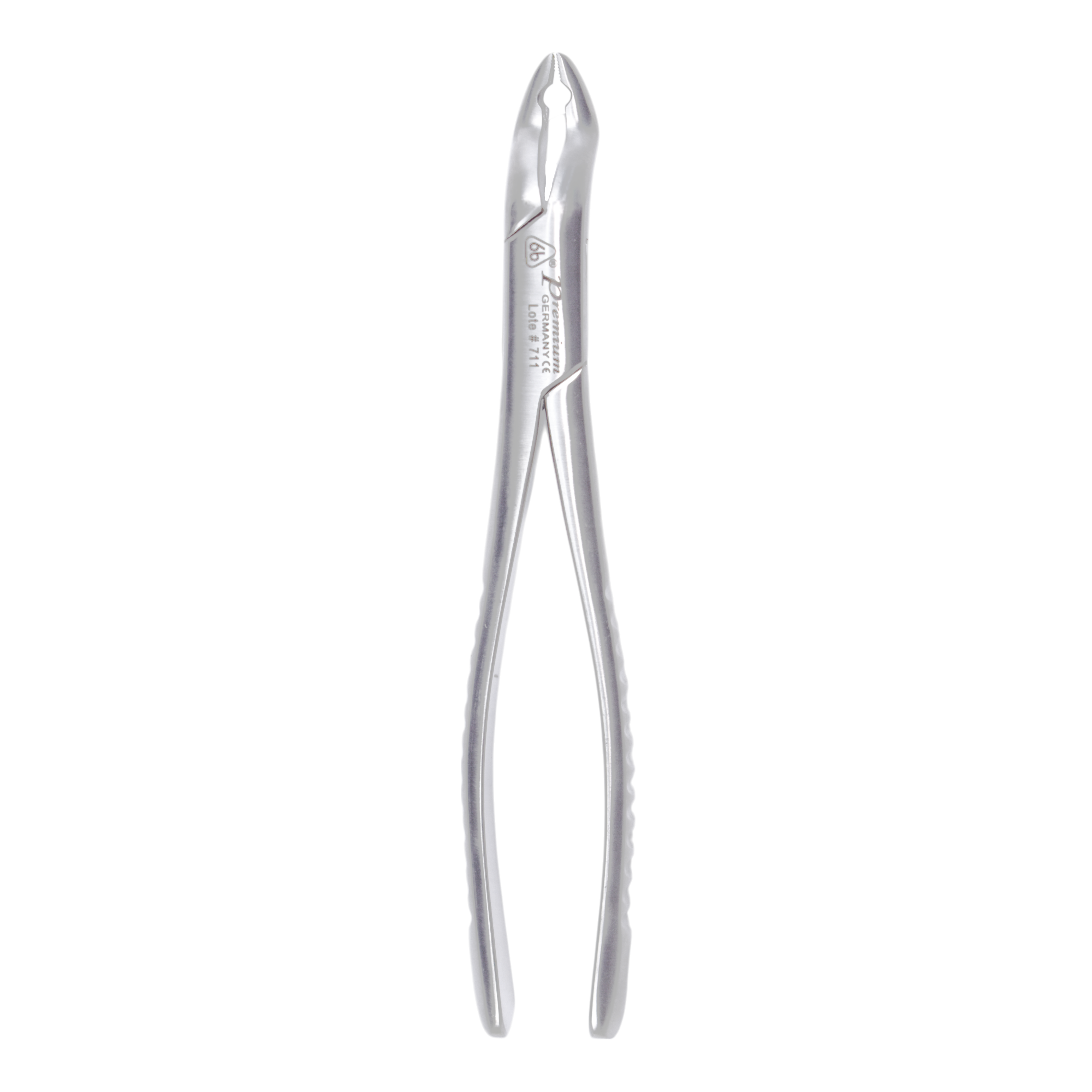 Dental Extraction Forceps #10 – Premium Stainless Steel (AS) – Upper Anterior & Universal