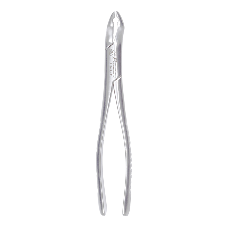Dental Extraction Forceps #10 – Premium Stainless Steel (AS) – Upper Anterior & Universal
