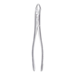 Dental Extraction Forceps #10 – Premium Stainless Steel (AS) – Upper Anterior & Universal