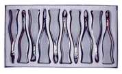 FORCEPS CASE 10-PIECE